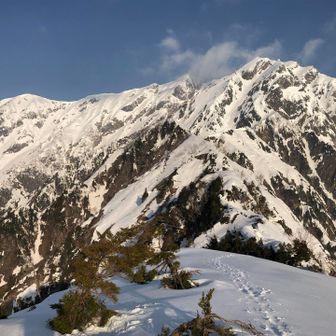 一ノ沢の頭から。東尾根全景が見えます。