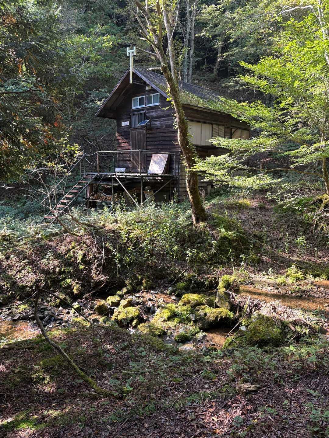 花脊高原前バス停-雲取峠-雲取山 往復コースの写真