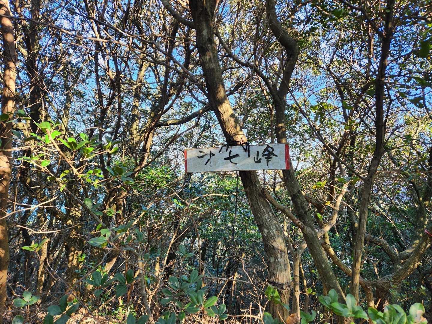七つ山(七峰)
計画はここまでのピストンだけど、もう少し進んでみます