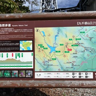九州自然遊歩道（佐賀県ルート）

基山から有田町まで122kmあります。

次は九千部山の山頂まで車で来て、九州自然遊歩道を使って、お隣の石谷山や権現山まで歩いてみてもいいかも。