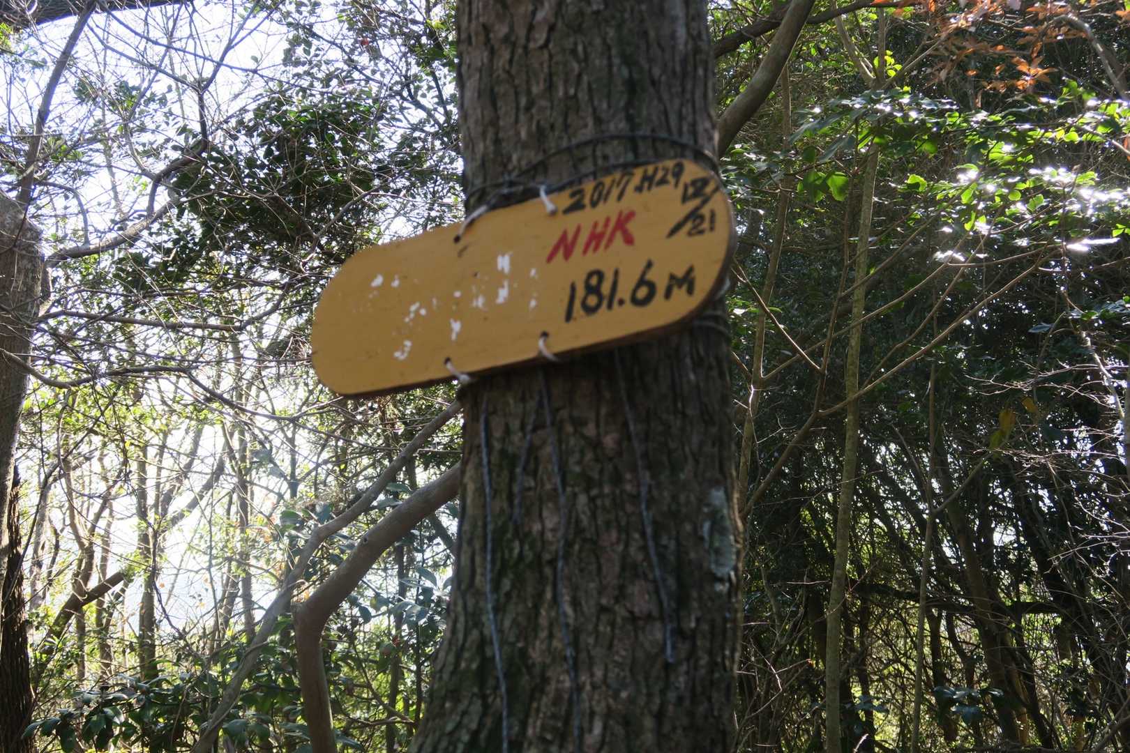 山頂名が読めない。阿島山181.6m