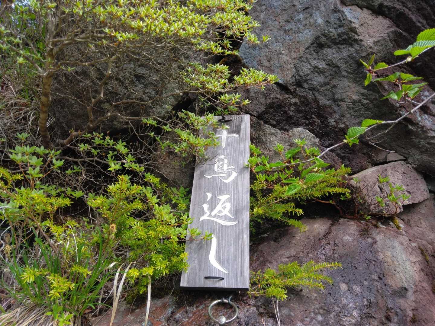 “千鳥返し”
“馬返し”は聞くけど…“千鳥”🤔？