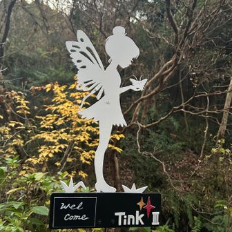 朝は車が空いているねぇ
思っているよりも早く到着した我ら3人を出迎えてくれたのは、素敵なティンカーベルⅢ💓