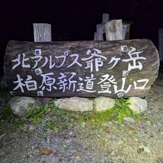 暗いよう、怖いよう、熊が