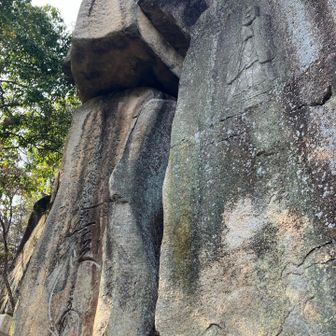 鬼子母神様が祀られています