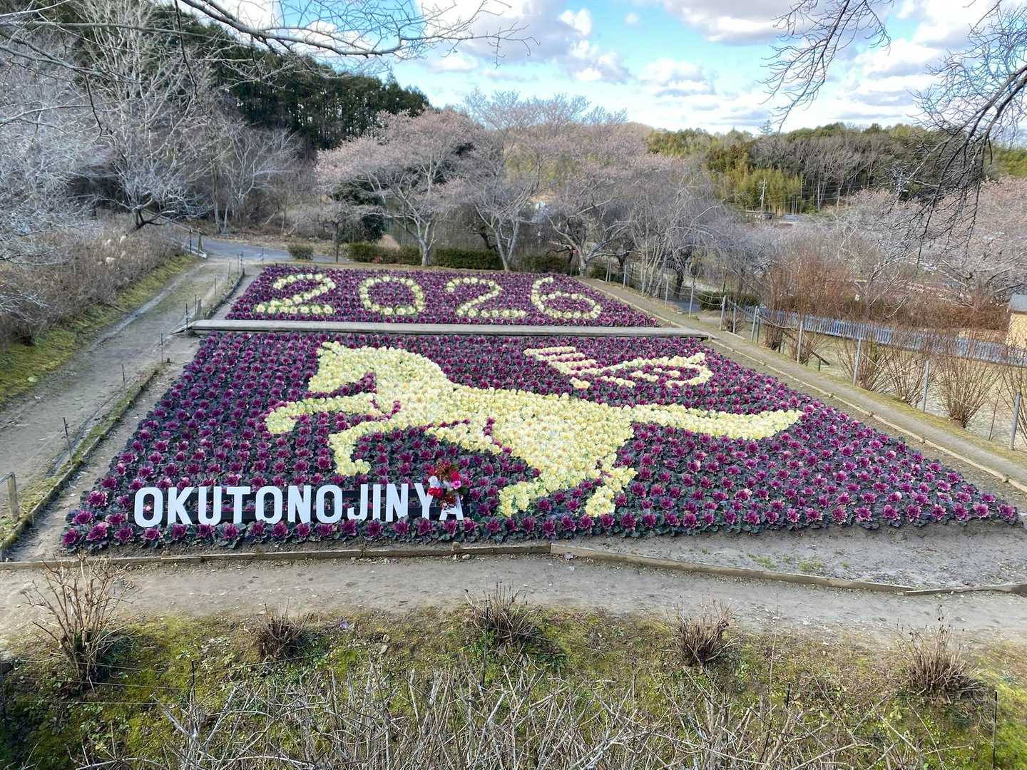 葉牡丹アート🐎
躍動感あふれる跳ね馬👏👏👏