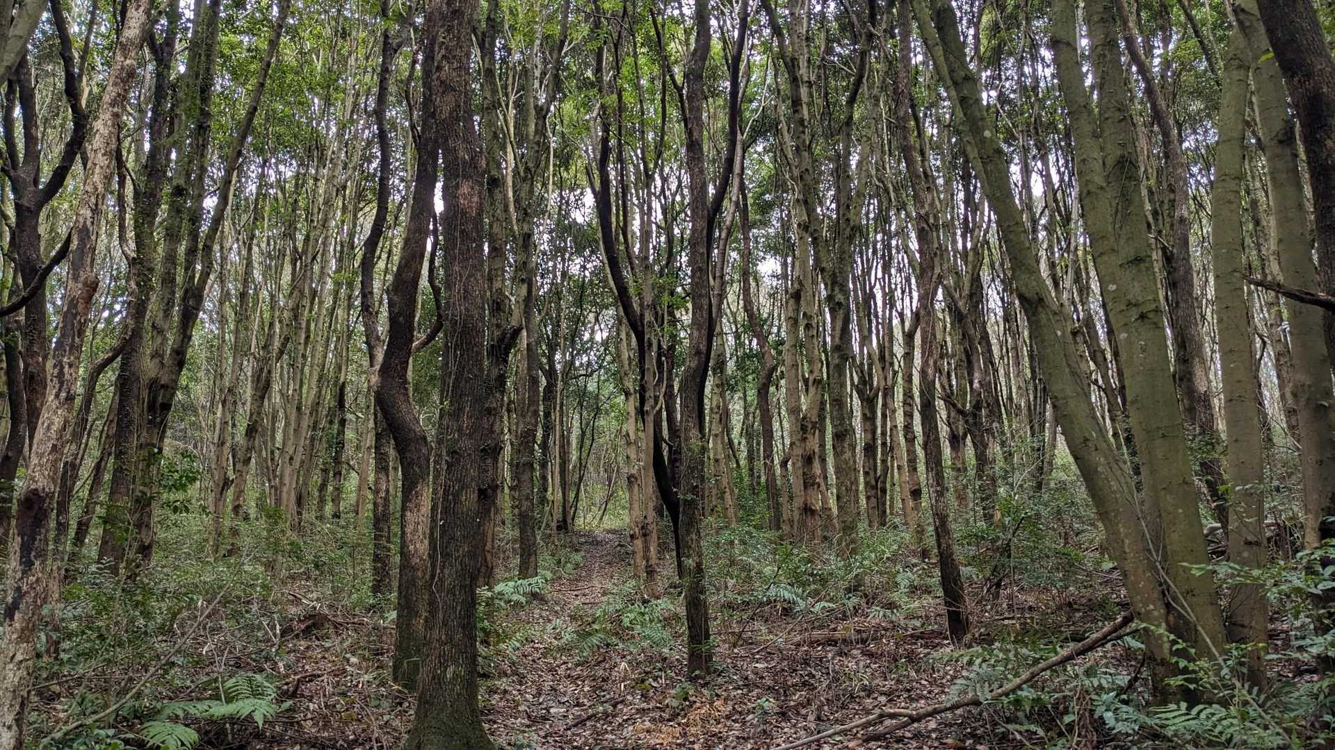行ってみよう🥾🥾