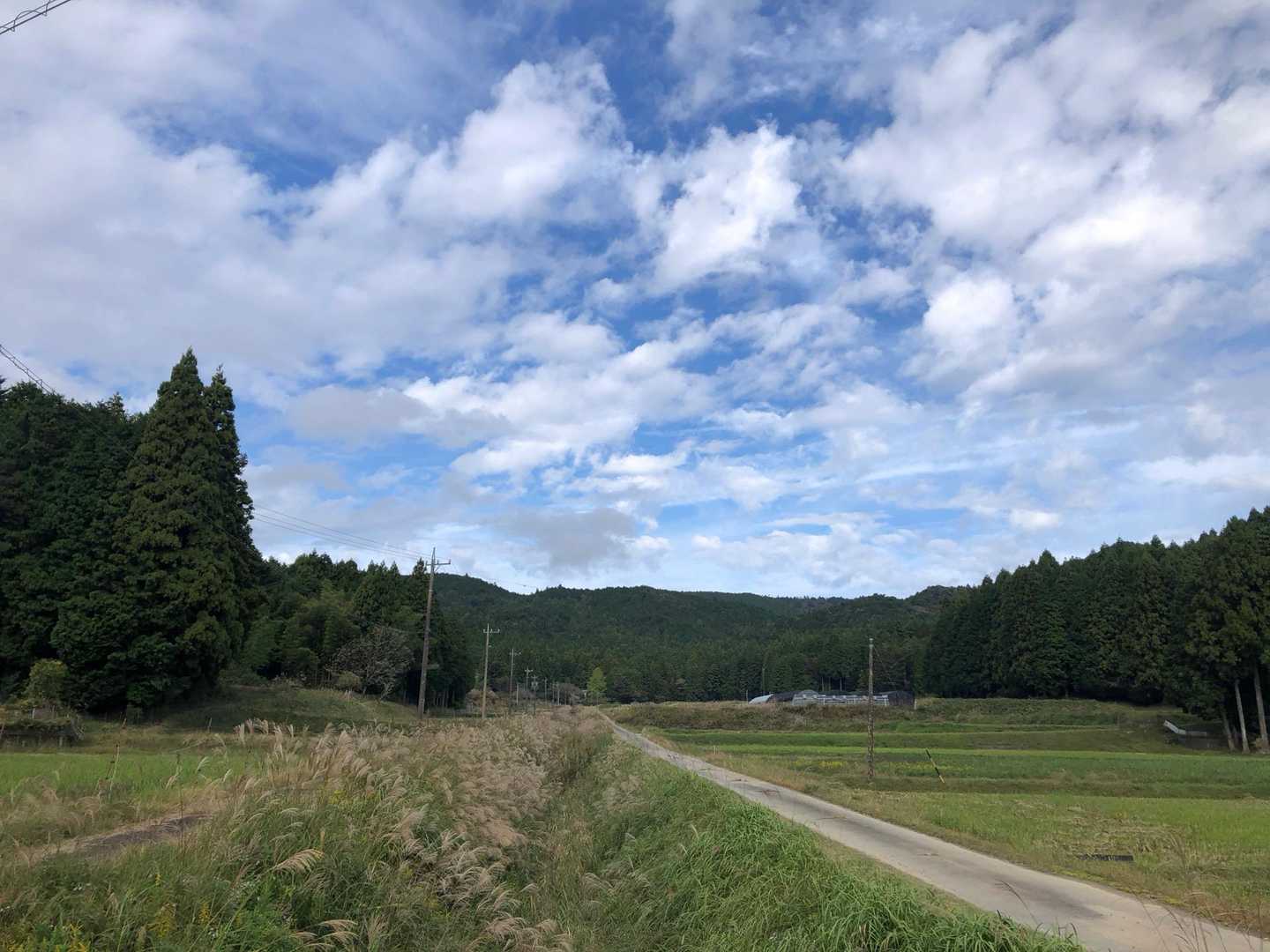 獅子ヶ森-巴山-文殊山 縦走コースの写真