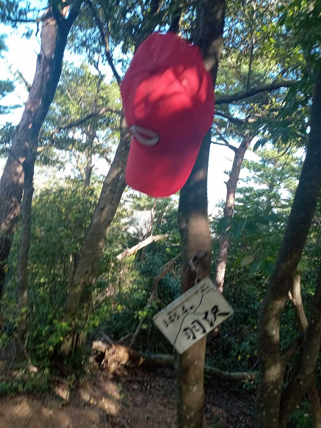 羽沢 往復コースの写真