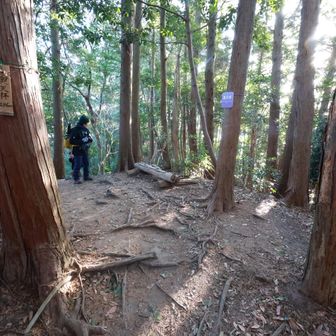 奥天拝（296ｍ）到着
展望は無し
