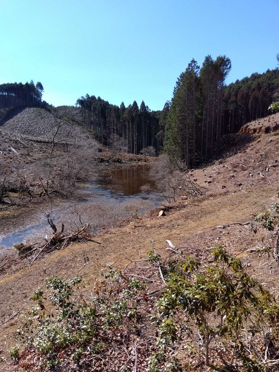 羽沢-鎌知土-田代越-飯盛山 周回コースの写真