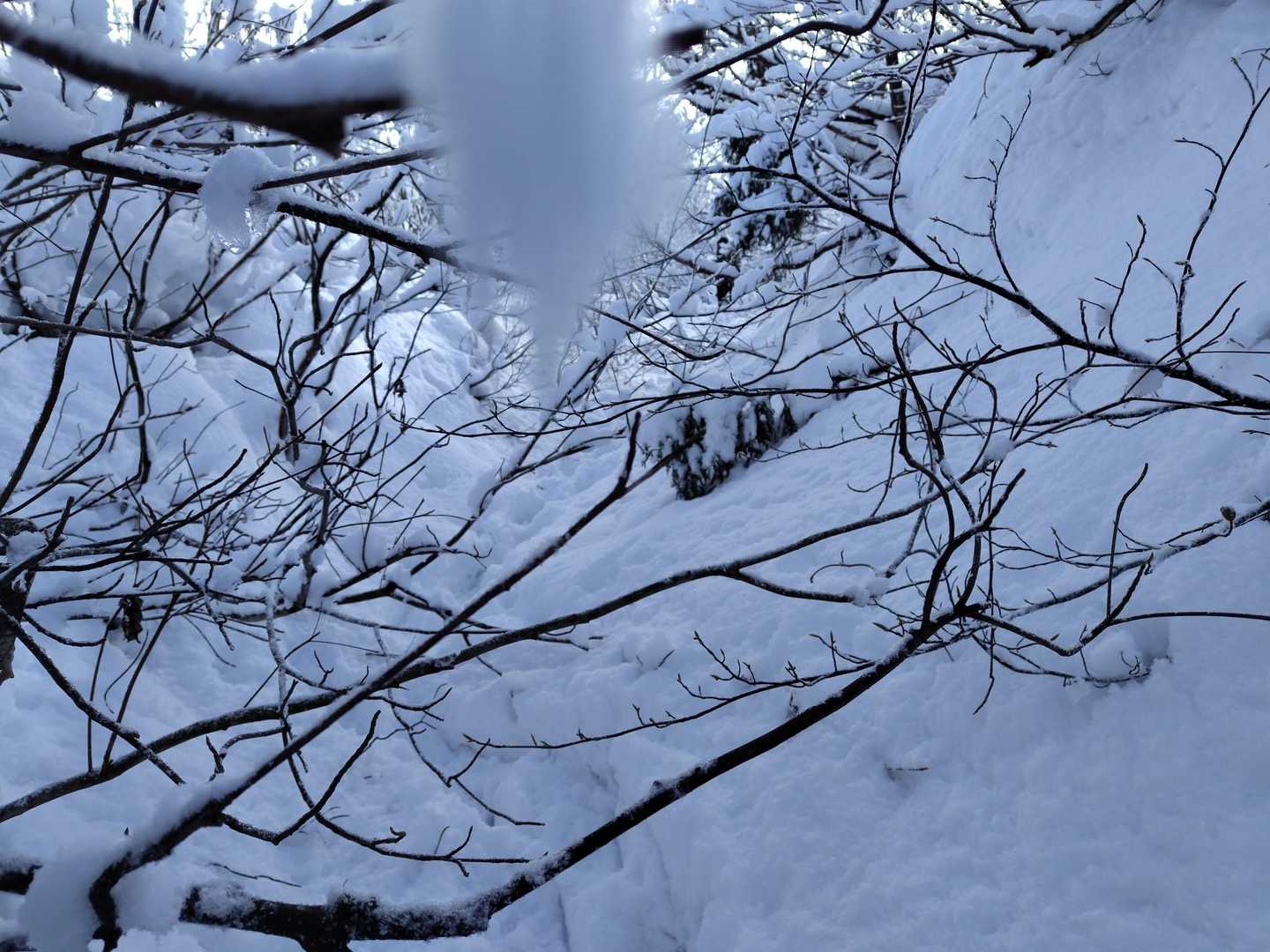 あ〜、めんどくさ山だぁ
