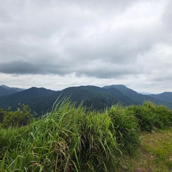 金ヶ谷山方面