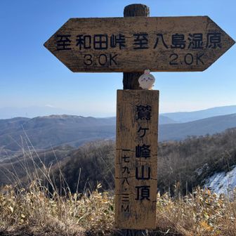 山頂とうちゃこ！