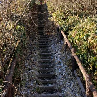 まずは
苦手な階段なのです