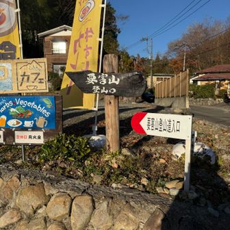 帰りはここに降りてくる予定。そのまま車道を登っていきます。