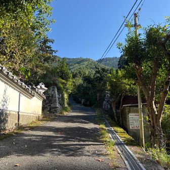 登山口前から急登が始まる