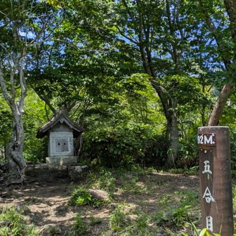 山頂は混んでるだろうし
日陰の日留神社⛩️の端っこで
ゆっくりお昼🍙を食べるつもりだったけど