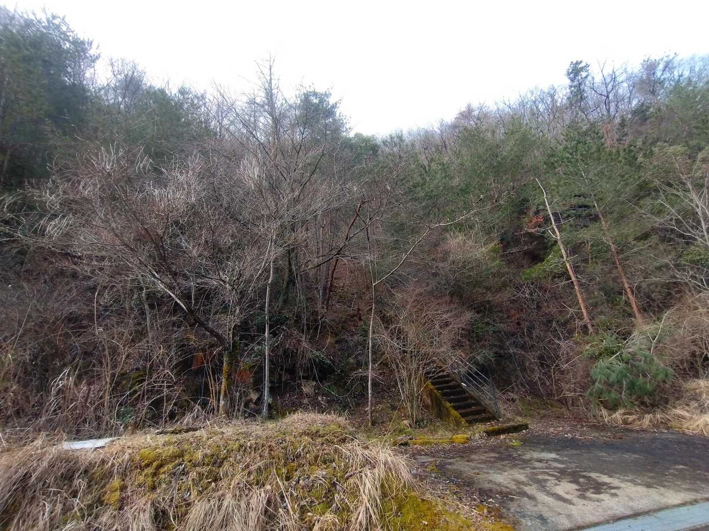 登山口に行くダム沿いの道の途中、
この階段を登って山に入ってゆくらしい方の熊鈴の音がチリ〜ンチリ〜ン🔔
