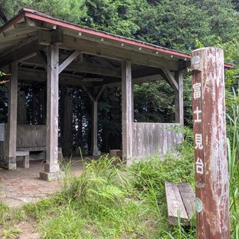 暗くてなんかイヤだった