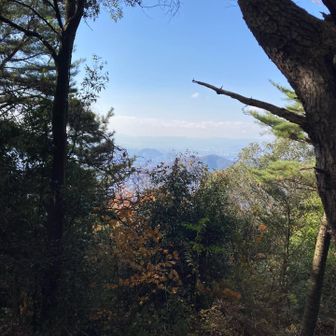 天狗防展望地。
木々🍃の間から今日は遠くの山並みが見渡せます。✨