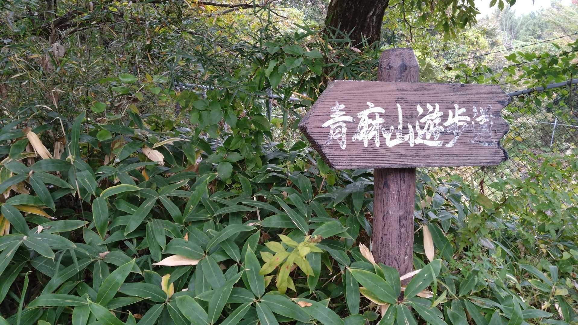 青麻山 往復コースの写真