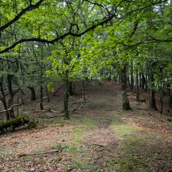 いい雰囲気の寺尾峠