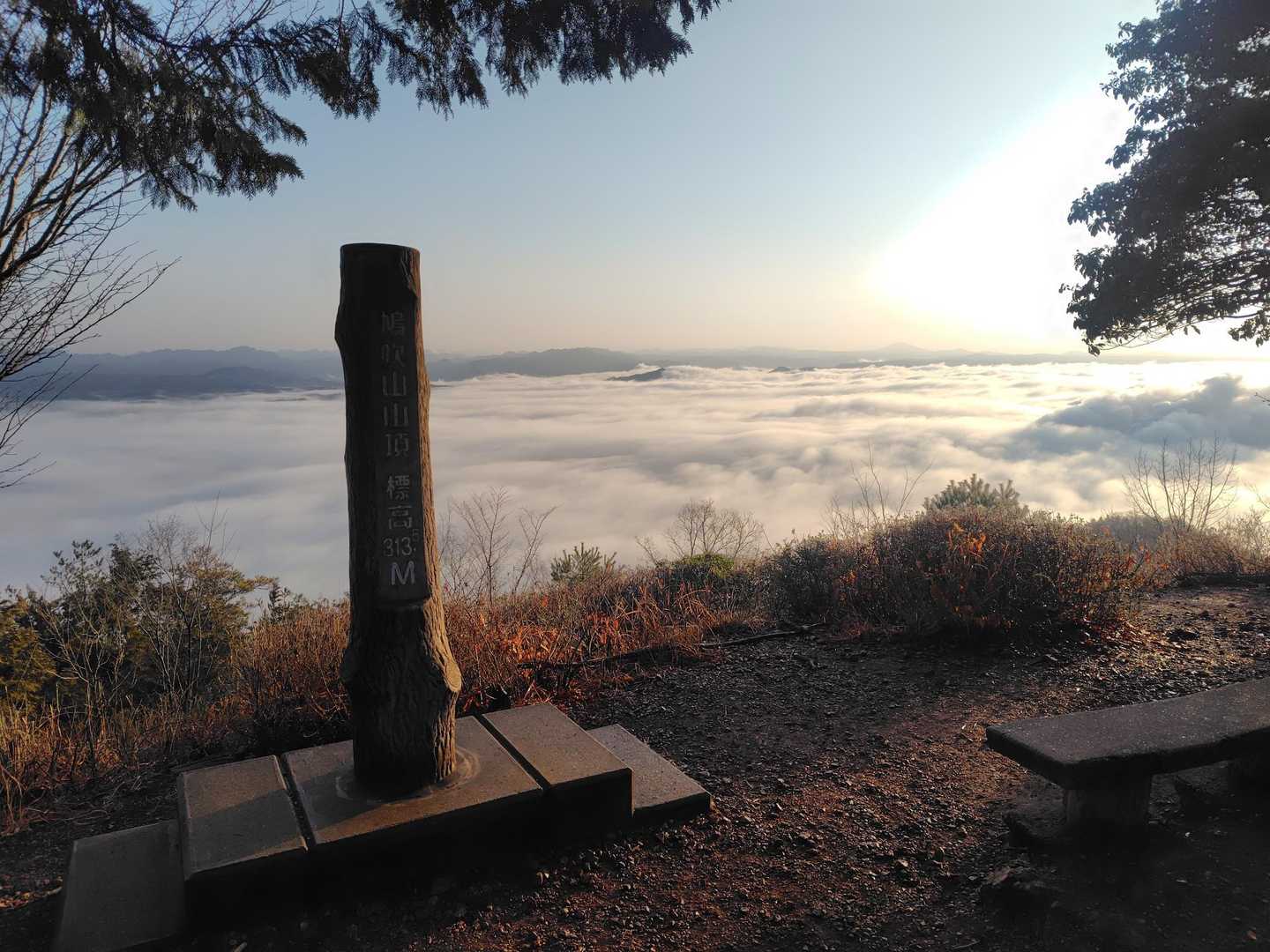 カタクリ口-鳩吹山 往復コースの写真