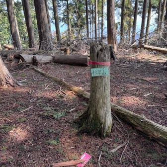 本日最後のピーク！杉平山⛰️これはスギヒラヤマでしょうね〜多分