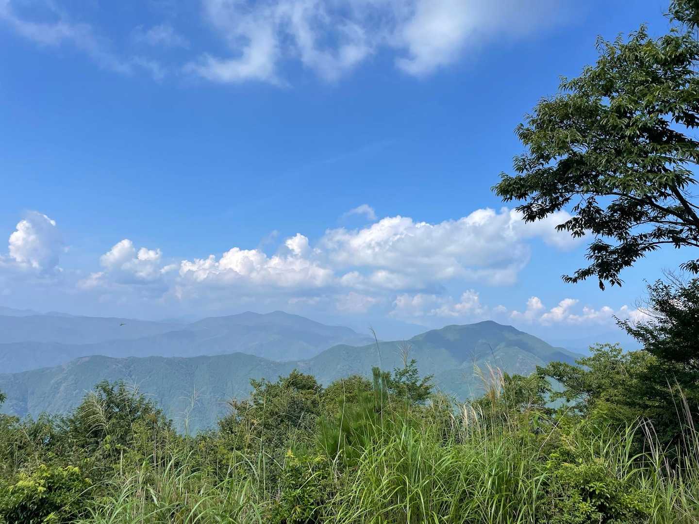 左が三頭山、右が御前山。
三山の標高は三頭山がいちばん高く、大岳山がいちばん低いのですが、登頂の大変さはダントツで大岳山です。
初心者には三頭山をお勧めします。