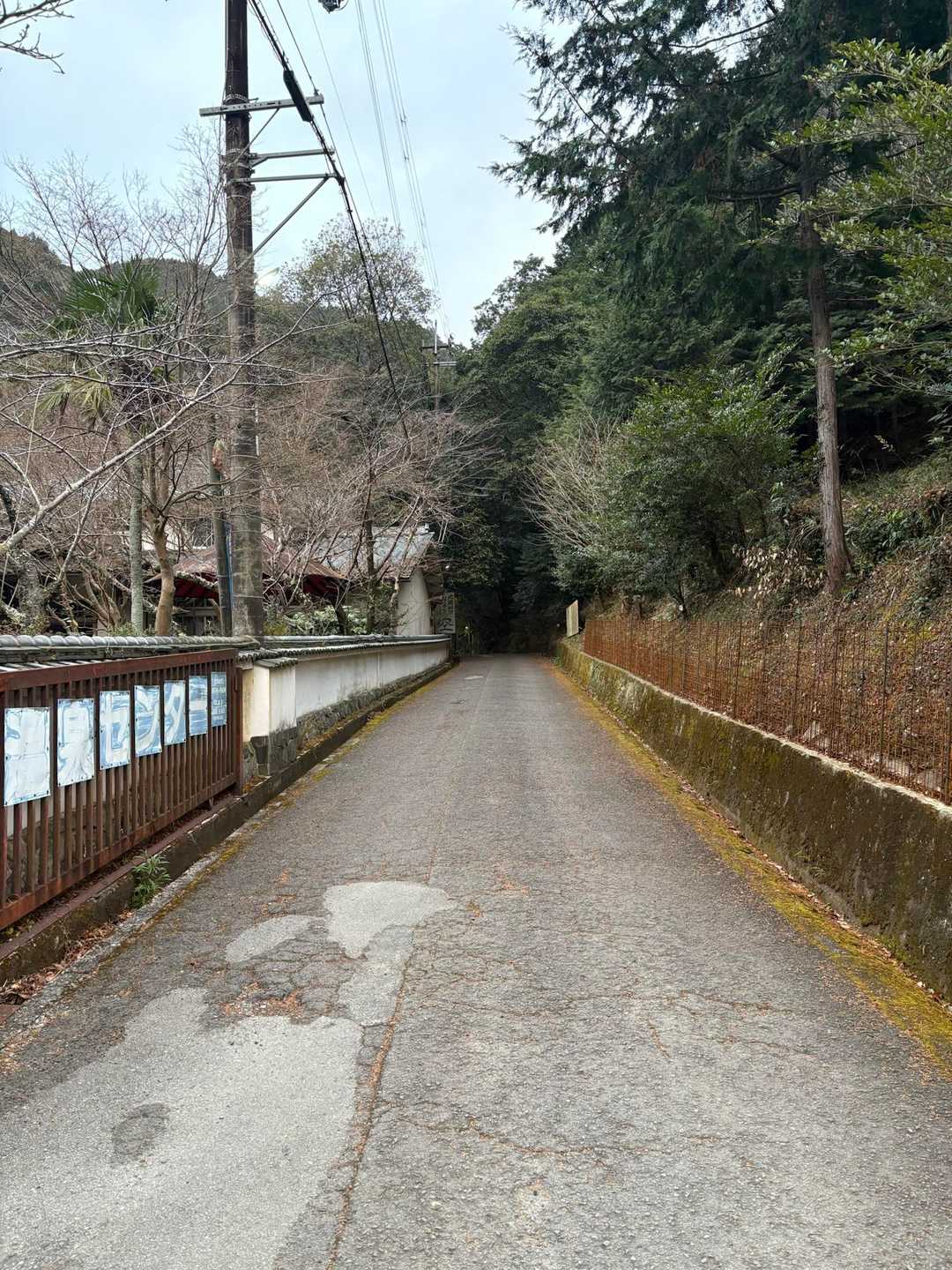 7:15、出発！まずは温泉街から七宝瀧寺への参道を進んで行きます。