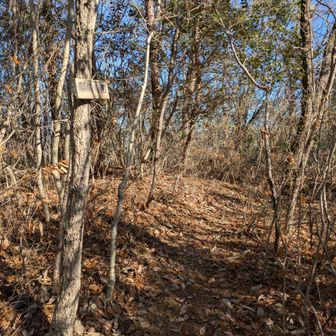 帰りはトトロカットをかまして、別の山から帰ります🌝