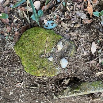 整形したはずだったのだが…😱
どなたかよろしくお願いします🤲笑