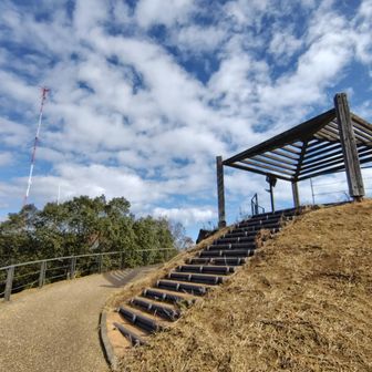 まずは子供の頃にはなかった展望台へ。
三角点は別の場所にありますが、実質的に今はここが唐八景の山頂ですかね。