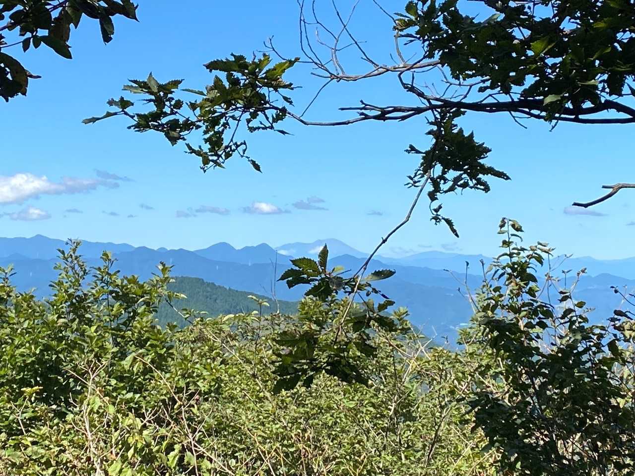 堂平山-七重峠-笠山峠-笠山 往復コースの写真