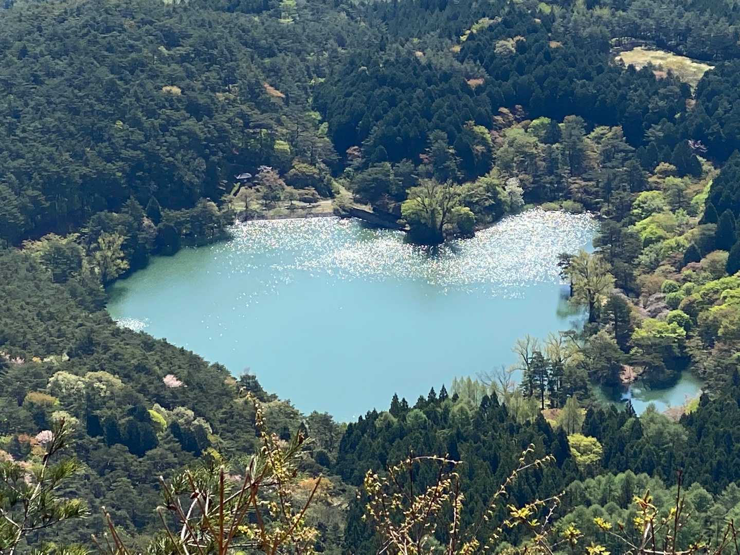 半田山 周回コースの写真