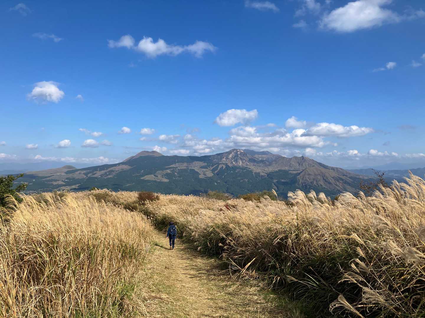 帰り道、いつ撮っても画になります。