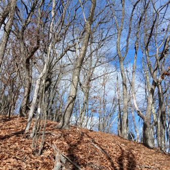 まもなく権現山山頂　雨雲レーダーによると15分後に雨が降るそうだが全然そんな風に見えない