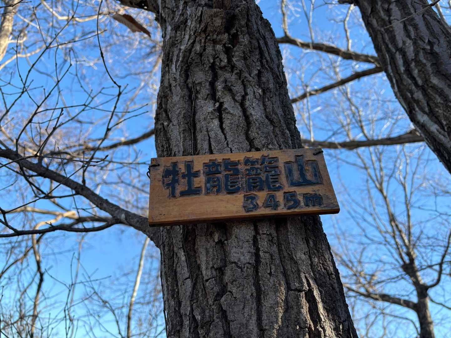 牡龍籠山⛰️登頂❗️
《おたつごやま》