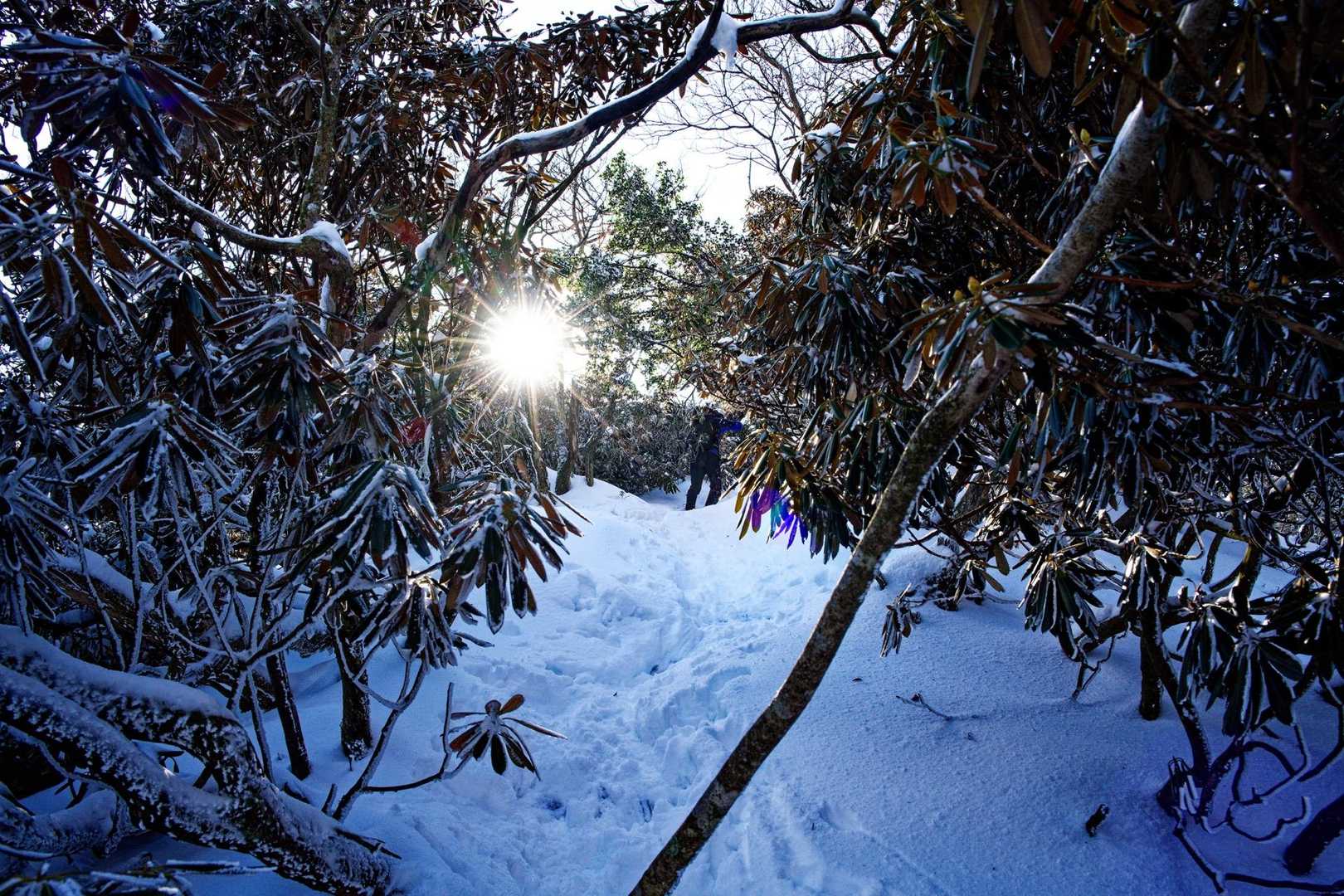竜王山登山口-竜王山-綿向山 往復コースの写真