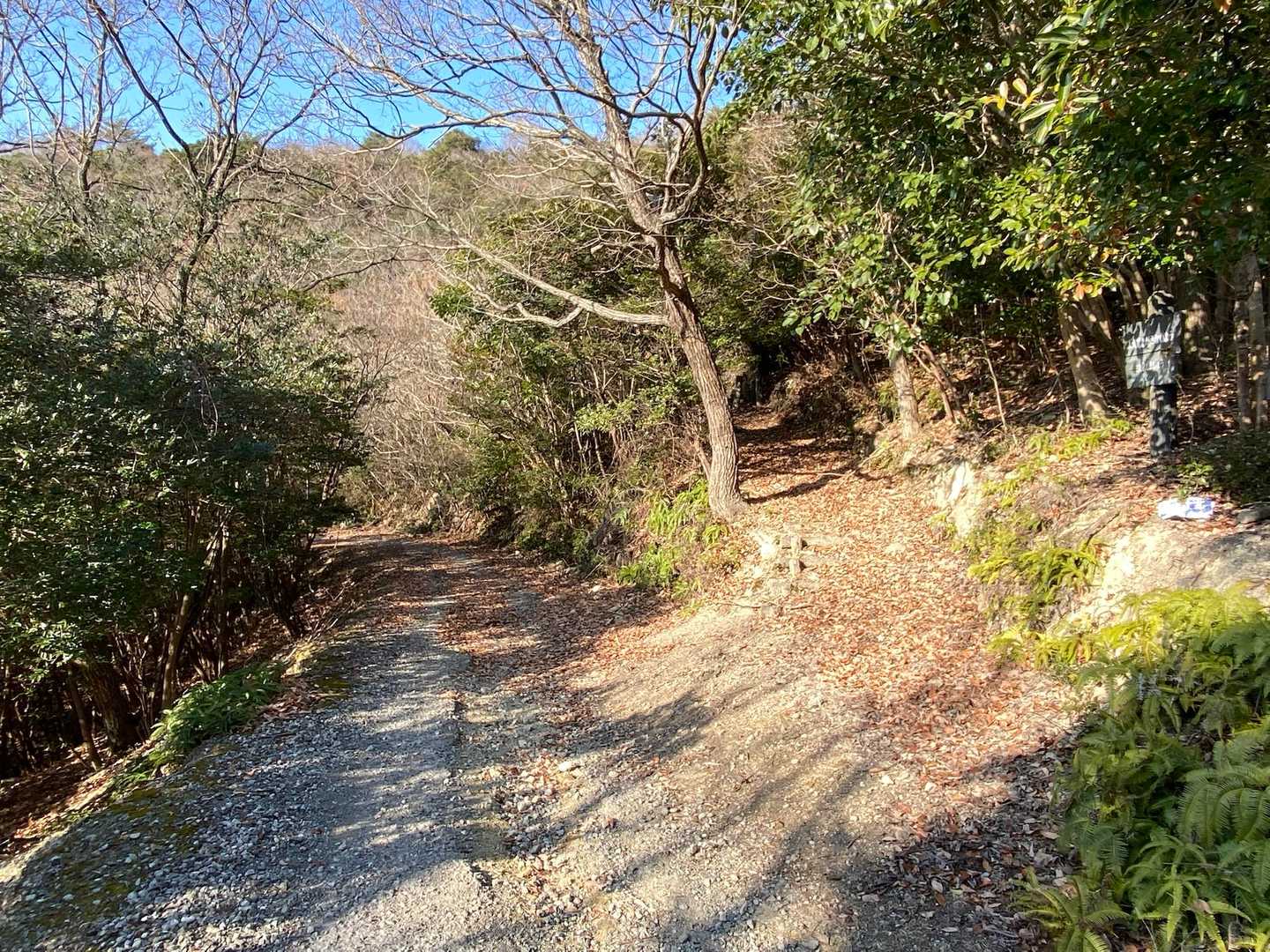 あとは砂利道と舗装路、それが全体の半分を占めてる🚶🏻‍♀️