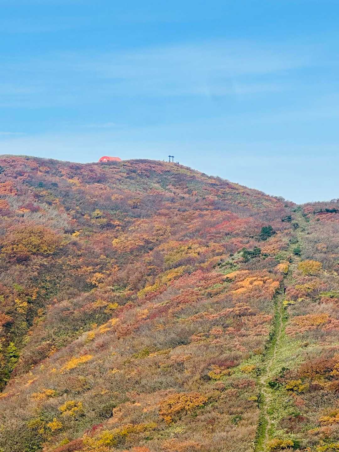 復路も🍁ビューティフー