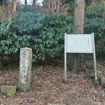 お馬さんは静かなところがお好きなのね🐎