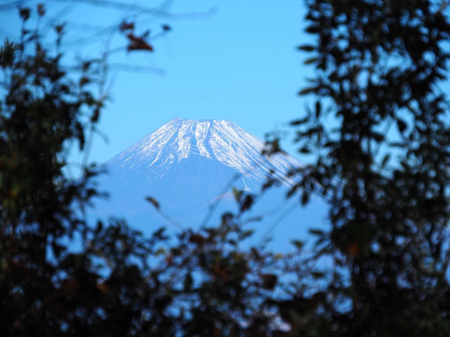 山頂から富士山はちょっと見えた🗻
静岡側だと凹が見える✨
