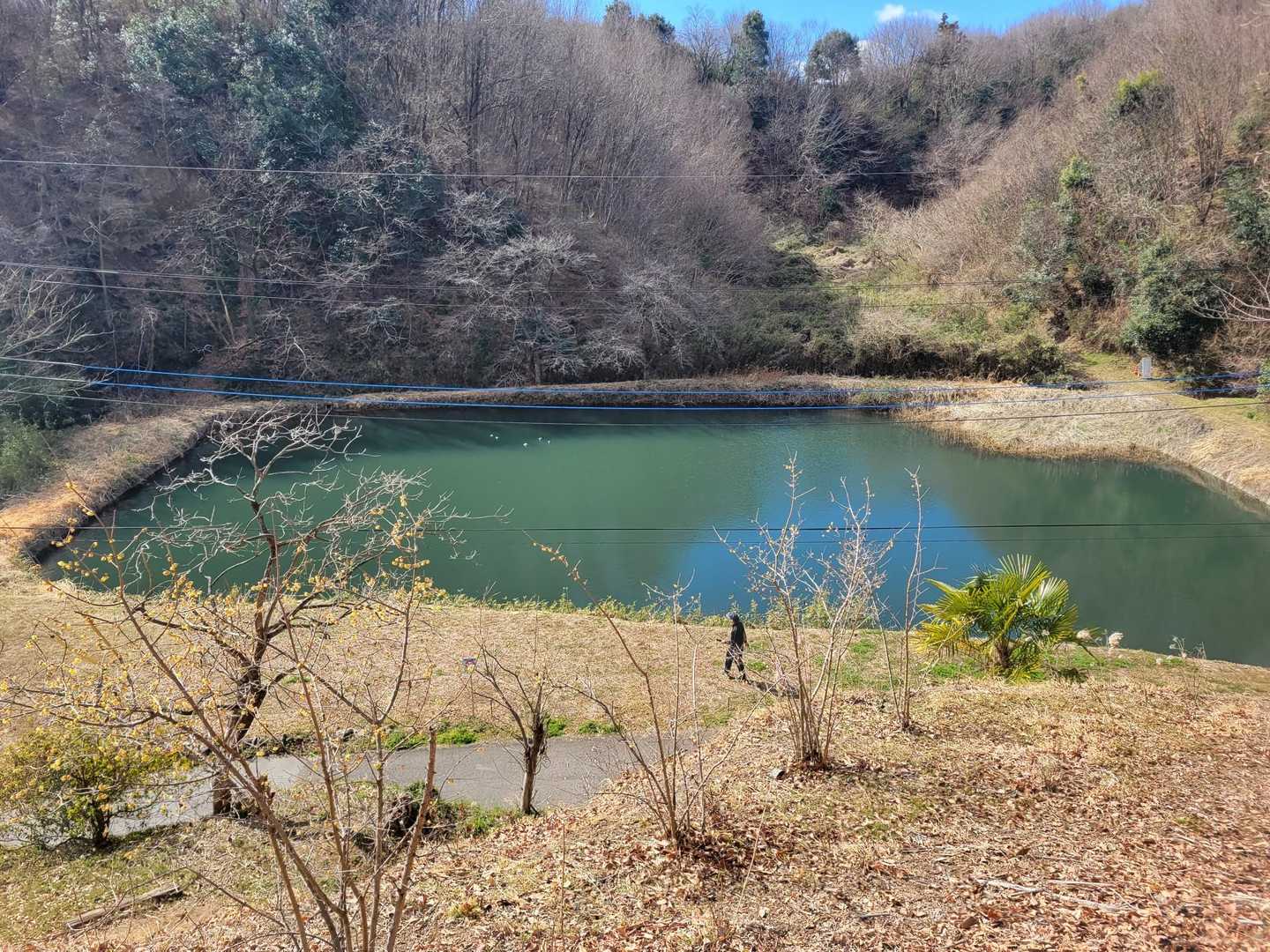 んっ💦🤔
池ってこんなに緑色でしたかね😌
まぁ良いや～🤭