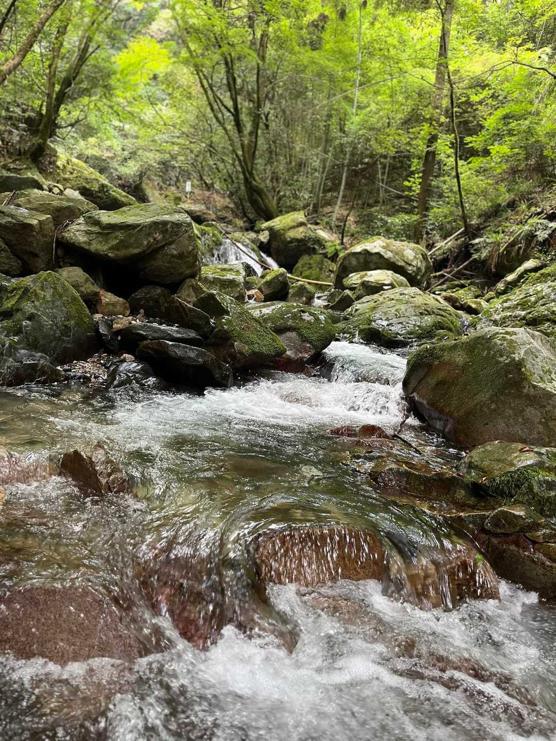 下山してきて、野河内渓谷に寄りました😃
涼しくて、たくさんの家族連れやカップルが水遊びを楽しんでいました😙