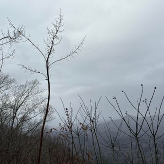 いろいろな準備が始まってる