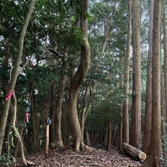 ‥天上嶽をUターンする