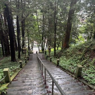 神社の階段も滑って危ない😅