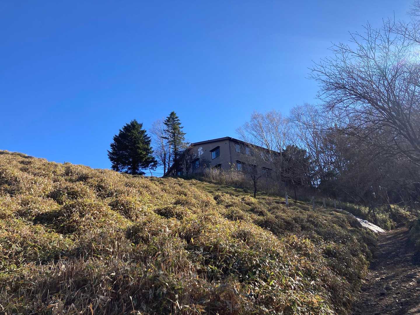 大菩薩峠への道は登りで使ったことがなく、
絶対登りは嫌だな〜と思っていたけれど、
鳥を見ながら歩くとすぐに介山荘が見えてきた。

数日前に見られたというオコジョには出会えず…